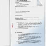 Regiebericht Vorlage Download Großartig Vorsorgevollmachte Seite 03 Regiebericht Muster Muster