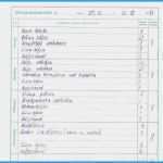 Regiebericht Vorlage Kostenlos Schönste 75 Inspiration Praktikum Wochenbericht Vorlage Galerie