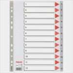 Register Beschriften Vorlage Cool Przekładki Esselte Plastikowe Szare A4 Pp Hurtownia