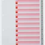 Register Beschriften Vorlage Cool Register