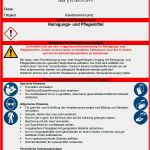 Reinigungs Und Desinfektionsplan Vorlage Gut Betriebsanweisung Reinigungsarbeiten Pflegearbeiten