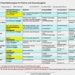 Reinigungs Und Desinfektionsplan Vorlage Hübsch Sternwaschmittel Reinigungs Und Desinfektionspläne