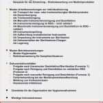 Reinigungs Und Desinfektionsplan Vorlage Inspiration Frisches Arbeitsanweisungen Zahnarztpraxis Muster