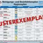 Reinigungs Und Desinfektionsplan Vorlage Schön Hygieneberatung Vom Experten Hygiene Honold