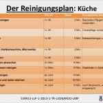 Reinigungs Und Desinfektionsplan Vorlage Schönste 9 M Care Täglicher Hausputz