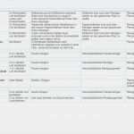 Reinigungsplan Arztpraxis Vorlage Fabelhaft Ausgezeichnet Arbeitsanweisung Vorlage Ideen Entry Level