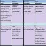 Reinigungsplan Gastronomie Vorlage Einzigartig Reinigungsplan Vorlage