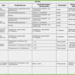 Reinigungsplan Gastronomie Vorlage Erstaunlich Reinigungsplan Gastronomie Vorlage Frisch Reinigungsplan