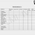 Reinigungsplan Gastronomie Vorlage Erstaunlich Reinigungsplan Gastronomie Vorlage Frisch Reinigungsplan