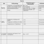 Reinigungsplan Gastronomie Vorlage Luxus 9 Putzplan Familie Vorlage