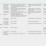 Reinigungsplan Gastronomie Vorlage Luxus Reinigungsplan Gastronomie Vorlage Frisch Reinigungsplan