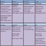 Reinigungsplan Küche Gastronomie Vorlage Beste Reinigungsplan Gastronomie Vorlage