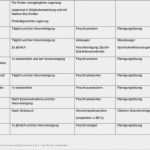 Reinigungsplan Küche Gastronomie Vorlage Schön Ungewöhnlich Reinigungsplan Vorlage Frei Ideen