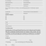 Reinigungsplan Küche Vorlage Kostenlos Beste Reinigungsplan Küche Vorlage Kostenlos Schön tolle