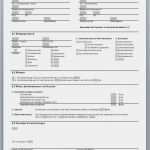 Reinigungsplan Küche Vorlage Kostenlos Genial 65 Hübsch Reinigungsplan Küche Vorlage Kostenlos Ideen