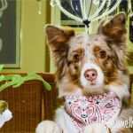 Reinigungsplan Küche Vorlage Kostenlos Gut Reinigungsplan Küche Vorlage Kostenlos Märsta Küche Ikea