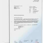 Reinigungsplan Küche Vorlage Kostenlos Inspiration Reinigungsplan Gastronomie Vorlage Frisch Reinigungsplan