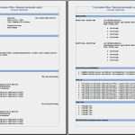 Reisebericht Dienstreise Vorlage Wunderbar Lebenslauf Cv Oder Résumé