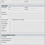 Reisekostenabrechnung Vorlage 2018 Einzigartig Reisekostenabrechnung 2017 Excel Vorlage Groartig Vorlage