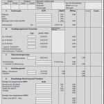 Reisekostenabrechnung Vorlage Finanzamt Schönste tolle Reisekostenformular Vorlage Ideen Beispiel