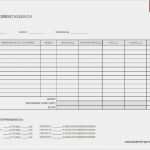 Reisetagebuch Klassenfahrt Vorlage Wunderbar Wunderbar Tagebucheintragsvorlage Zeitgenössisch