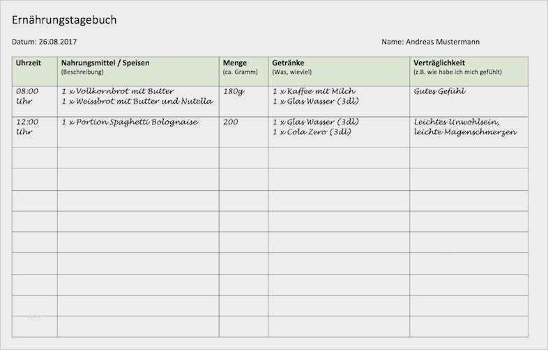 Reisetagebuch Vorlage Zum Ausdrucken Einzigartig Vorlage ...