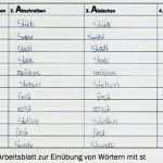 Reklamationsmanagement Excel Vorlage Einzigartig tolle Fehleranalyse Vorlage Bilder Beispiel