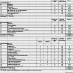 Reklamationsmanagement Excel Vorlage Hübsch Fein Bewertungsmatrix Vorlage Bilder