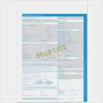 Reparaturzettel Vorlage Süß Kfz Automietvertrag formular Im format Din A4