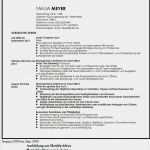 Reservierung Hotel Vorlage Großartig 13 Sprachen Lebenslauf