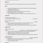 Ressourcenplanung Excel Vorlage Wunderbar Ressourcenplanung Excel Vorlage Planvision Visionen Für