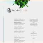 Restaurant Beschreibung Vorlage Elegant 11 Restaurant Server Lebenslauf Beschreibung Vorlagen123