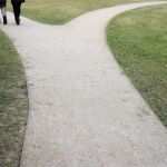 Riester Rente Kündigen Vorlage Neu Riester Kündigen Vertrag Kündigen Oder Lieber Wechseln