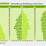 Riester Rente Pausieren Vorlage Wunderbar Riester Rente Berechnen R Ckkaufswert Der Riester Rente