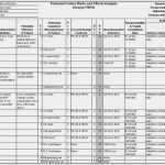 Risikoanalyse Fmea Vorlage Bewundernswert Manual De Fmea Monografias