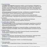 Risikoanalyse Lieferanten Vorlage Elegant Erflgreich Als Kmu