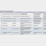 Risikoanalyse Projektmanagement Vorlage Luxus Ausgezeichnet software Risikoanalyse Vorlage Galerie