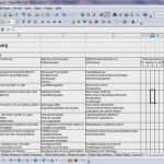 Risikobeurteilung Muster Vorlage Best Of Risikobeurteilung Vorlage Excel Best Ungewöhnlich Excel