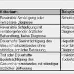 Risikobeurteilung Muster Vorlage Best Of Risikobewertung Festlegung Der Risikobewertungsmaßstäbe