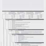 Risikomanagement Excel Vorlage Wunderbar Fein Risikomanagement Vorlage Excel Galerie