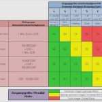 Risikomatrix Vorlage Genial Risikomatrix Nach Nohl Vorlage Neu Ausgezeichnet
