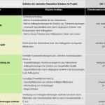 Risikomatrix Vorlage Neu Risikomanagement Katalog