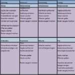 Rohs Konformitätserklärung Vorlage Fabelhaft Haushaltsplan Mit Kindern Vorlage Ritmgfo