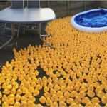 Rsv Kündigen Vorlage Großartig Aktuelles – Rsv Gerolstein E V