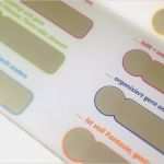 Rubbellose Vorlage Drucken Hübsch Uv Offsetdruckerei Und Foliendruckerei Berle Druck