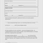 Rückabwicklung Kaufvertrag Auto Vorlage Erstaunlich 10 Kaufvertrag Auto Muster