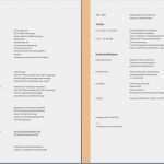 Rücktritt Ehrenamt Vorlage Wunderbar Tabellarischer Lebenslauf