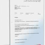 Rücktritt Eines Vorstandsmitgliedes Im Verein Vorlage Best Of Fristgemäße Kündigung Geschäftsführer