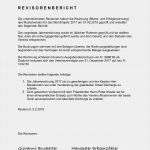 Rücktritt Eines Vorstandsmitgliedes Im Verein Vorlage Einzigartig Revisorenbericht Verein Vorlage