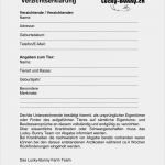 Rufnummernmitnahme Vorlage Pdf Wunderbar Groß Teilweise Verzichtserklärung Vorlage Fotos